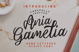 Ania Gamelia: A Sweet Handwritten Font for Branding