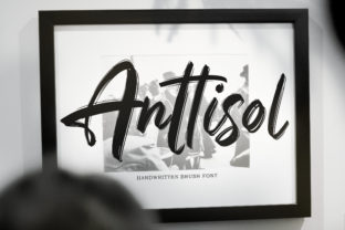 Anttisol Font Review: Bold Typography for Web Headers