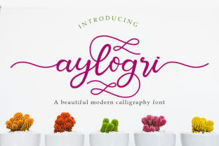 Aylogri: A Romantic Script Font