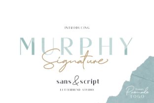 Murphy Font Review: A Polished Typeface for Small Business Branding